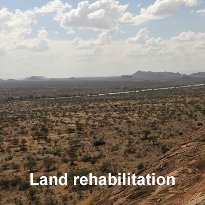 land-rehab